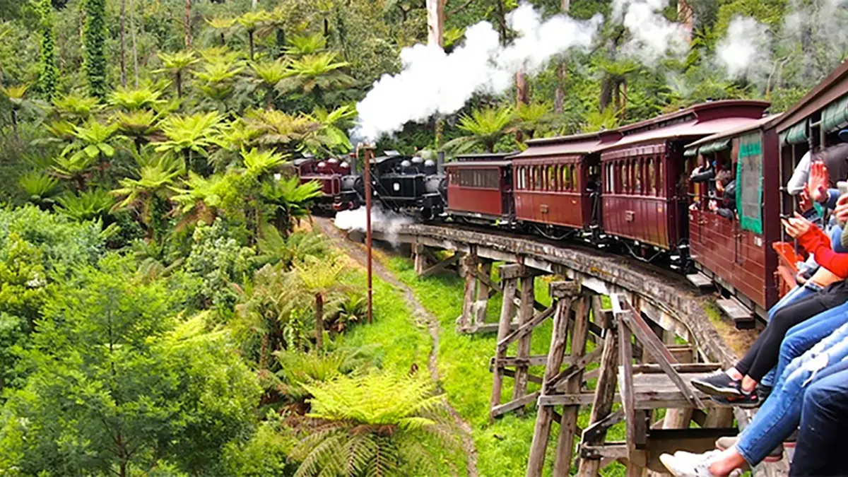 Puffing Billy Train and ​Railway