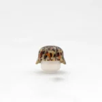 Custom Piece Miniature – military Helmet German Stahlhelm (steel helmet) decorated with a camouflage pattern known as Erbsenmuster (pea dot pattern) from the World War II  – 3D Print for LEGO minifigure
