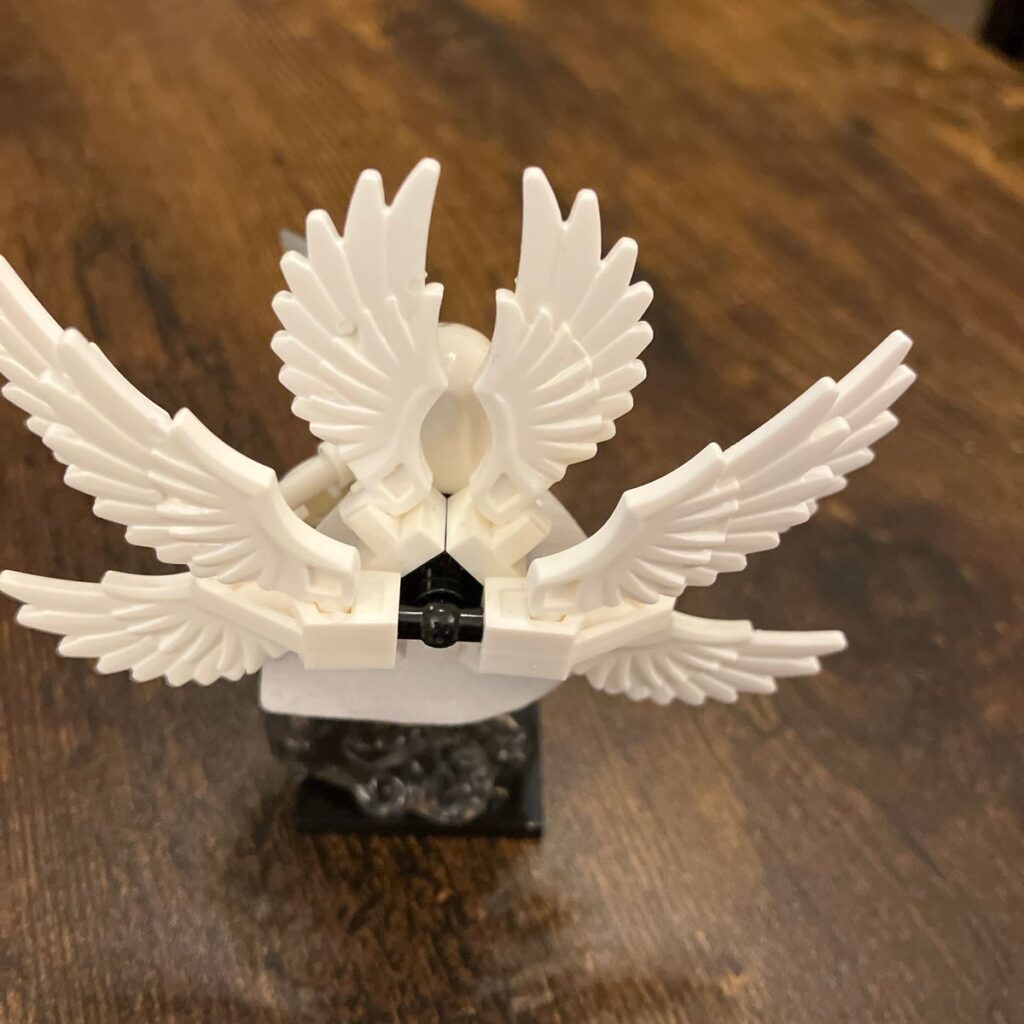 Image #2 from Kevin Engelstad