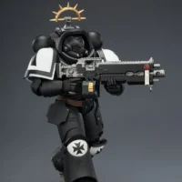 Action Figure - JoyToy Game Edition Black Templars Heavy Intercessor with Heavy Bolt Rifle and Bolt Pistol 1 18 - Warhammer 40K Space Marine 2 rectangle image 4
