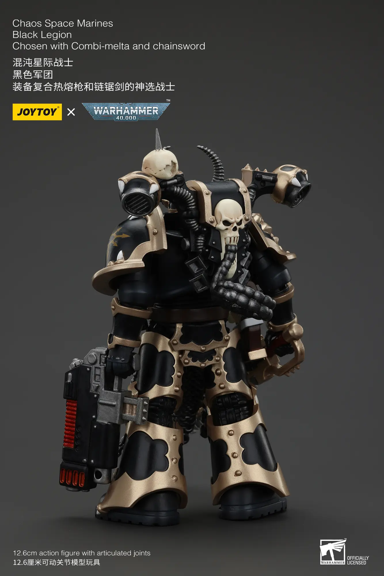 the back of Action Figure - Chaos Space Marines Black Legion Chosen with Combi-melta and Chainsword 1 18 - JOYTOY Warhammer 40K rectangle image The Back Of Action Figure Chaos Space Marines Black Legion Chosen With Combi Melta And Chainsword 1 18 Joytoy Warhammer 40k Rectangle Image