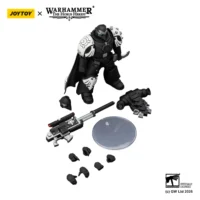 The Parts Of Action Figure Raven Guard Mor Deythan With Nemesis Bolt Rifle 1 18 Jotyoy Warhammer The Horus Heresy In White Background