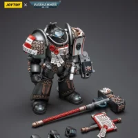 the parts of the Action Figure - JOYTOY Grey Knights Terminator Caddon Vibova 1 18 - Warhammer 40K rectangle image the parts of the Action Figure - JOYTOY Grey Knights Terminator Caddon Vibova 1 18 - Warhammer 40K rectangle image